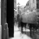 bild8